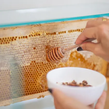 Ξενοδοχείο Bernard 3*