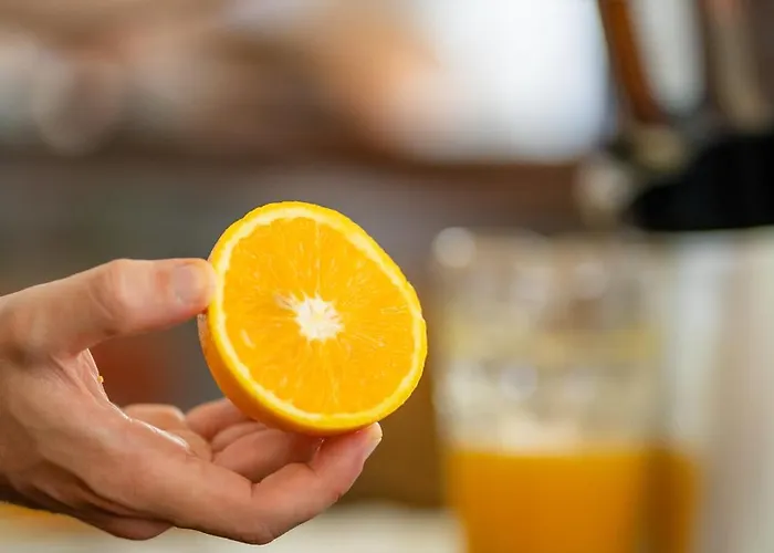 Bernard サン・ベネデット・デル・トロント