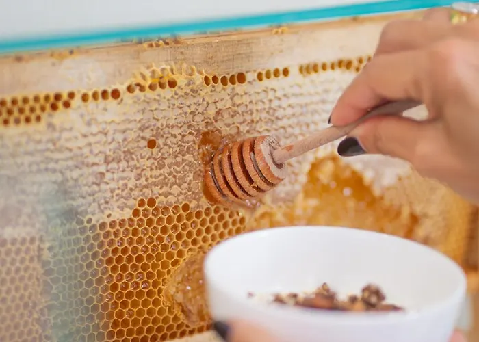 ホテル Bernard 3*